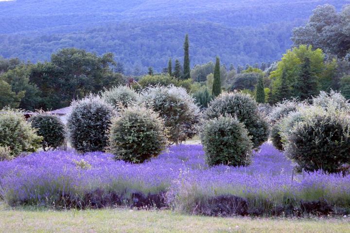 5 jours Château Les Oliviers de Salettes*****